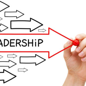 Play Leadership Online
