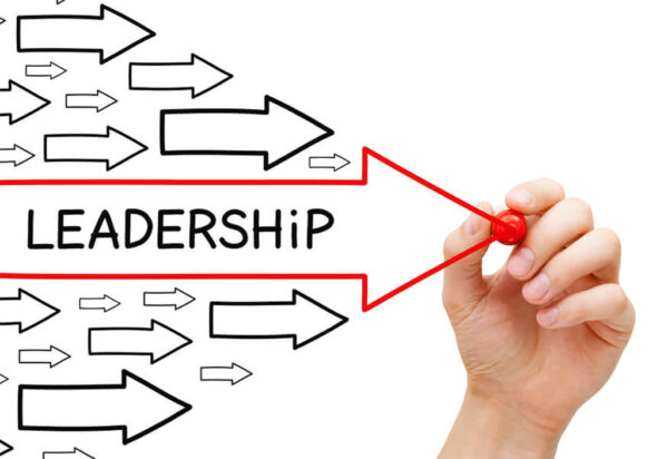 Play Leadership Online